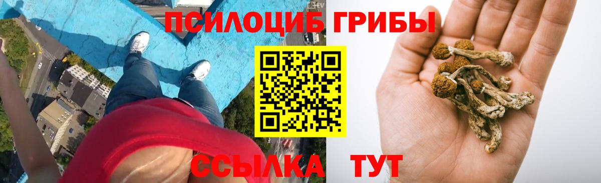 Псилоцибиновые грибы ЛСД  Вход с VPN  Батайск 